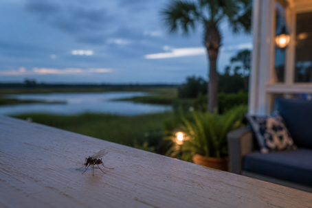 Saint Simons Evening
