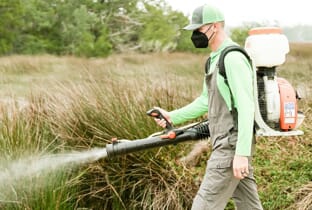 Mosquito & No-See-Um Control on Saint Simons Island | Torpedo Mosquito