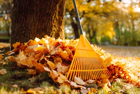 Charleston homeowner clearing fall leaves