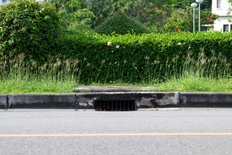 Savannah roadside drainage ditch after rainfall near a residential yard